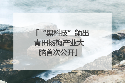 “黑科技”频出 青田杨梅产业大脑首次公开