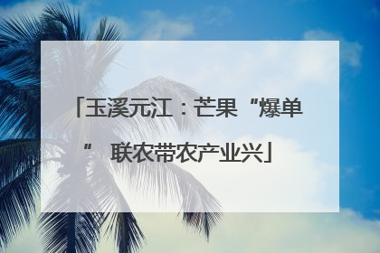 玉溪元江：芒果“爆单” 联农带农产业兴