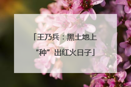 王乃兵：黑土地上“种”出红火日子