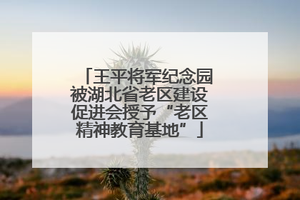 王平将军纪念园被湖北省老区建设促进会授予“老区精神教育基地”