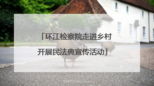环江检察院走进乡村开展民法典宣传活动