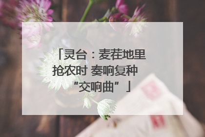 灵台：麦茬地里抢农时 奏响复种“交响曲”
