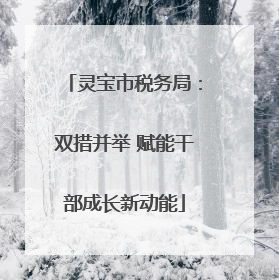灵宝市税务局：双措并举 赋能干部成长新动能