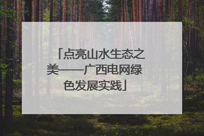 点亮山水生态之美——广西电网绿色发展实践