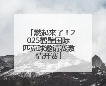 燃起来了！2025鹤壁国际匹克球邀请赛激情开赛