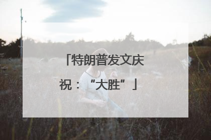 特朗普发文庆祝：“大胜”