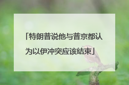 特朗普说他与普京都认为以伊冲突应该结束