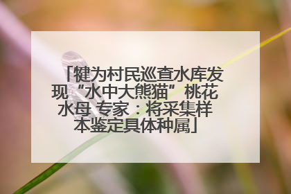 犍为村民巡查水库发现“水中大熊猫”桃花水母 专家：将采集样本鉴定具体种属