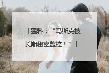 猛料：“马斯克被长期秘密监控！”