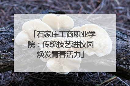 石家庄工商职业学院：传统技艺进校园焕发青春活力