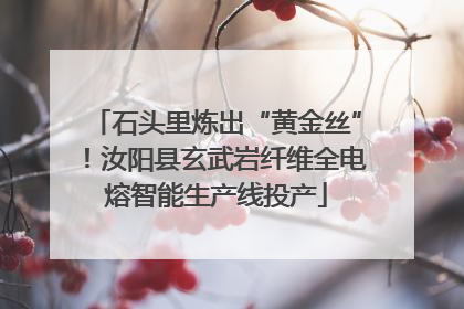 石头里炼出“黄金丝”！汝阳县玄武岩纤维全电熔智能生产线投产