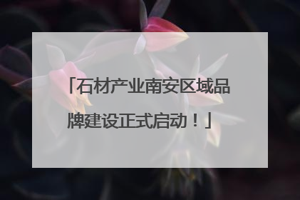 石材产业南安区域品牌建设正式启动！