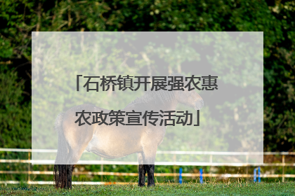 石桥镇开展强农惠农政策宣传活动