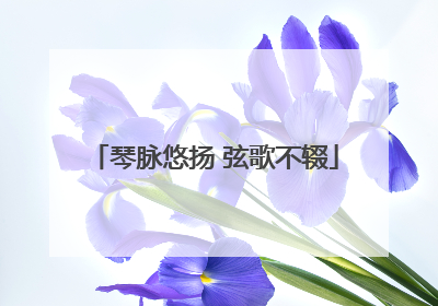 琴脉悠扬 弦歌不辍