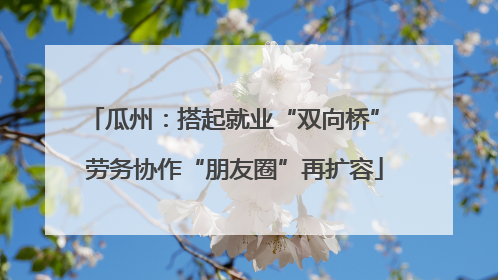 瓜州：搭起就业“双向桥” 劳务协作“朋友圈”再扩容