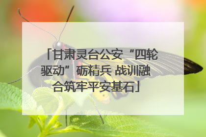甘肃灵台公安“四轮驱动”砺精兵 战训融合筑牢平安基石