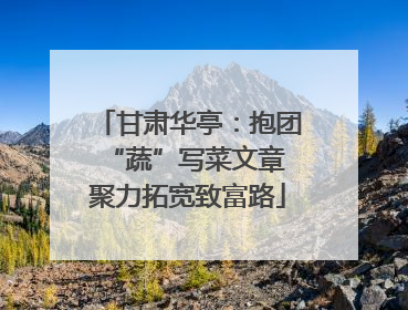 甘肃华亭：抱团“蔬”写菜文章 聚力拓宽致富路