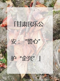 甘肃民乐公安：“警心”护“企兴”