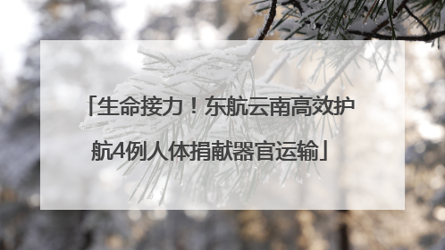 生命接力！东航云南高效护航4例人体捐献器官运输