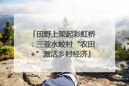 田野上架起彩虹桥：三亚水蛟村“农田+”激活乡村经济