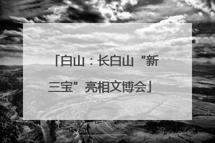 白山：长白山“新三宝”亮相文博会