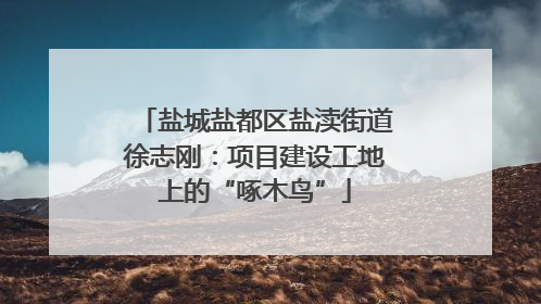 盐城盐都区盐渎街道徐志刚：项目建设工地上的“啄木鸟”