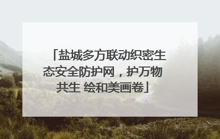 盐城多方联动织密生态安全防护网，护万物共生 绘和美画卷