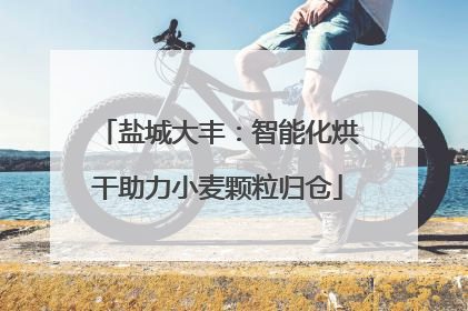盐城大丰：智能化烘干助力小麦颗粒归仓