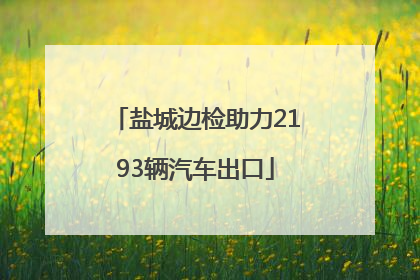 盐城边检助力2193辆汽车出口