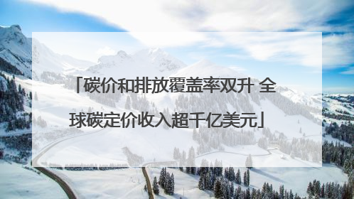 碳价和排放覆盖率双升 全球碳定价收入超千亿美元