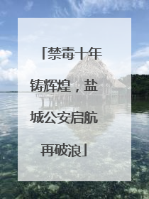 禁毒十年铸辉煌，盐城公安启航再破浪