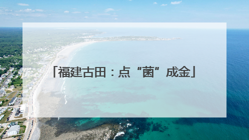 福建古田：点“菌”成金