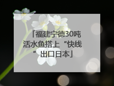 福建宁德30吨活水鱼搭上“快线”出口日本