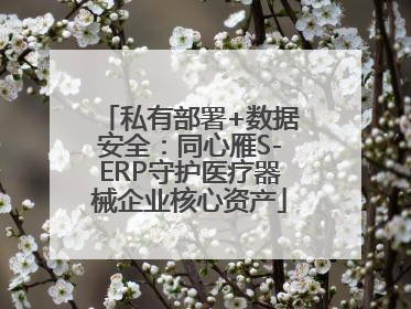 私有部署+数据安全：同心雁S-ERP守护医疗器械企业核心资产