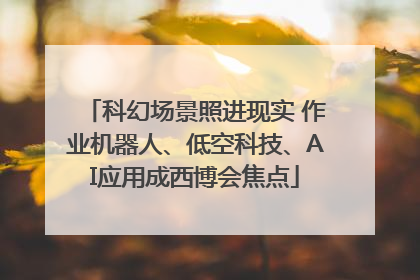 科幻场景照进现实 作业机器人、低空科技、AI应用成西博会焦点
