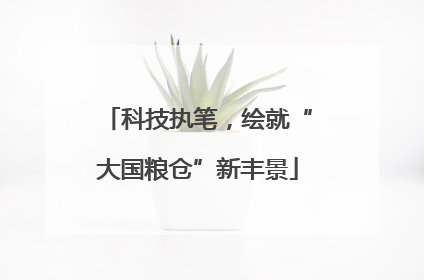 科技执笔，绘就“大国粮仓”新丰景