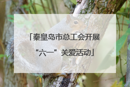 秦皇岛市总工会开展“六一”关爱活动