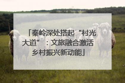 秦岭深处搭起“村光大道”：文旅融合激活乡村振兴新动能