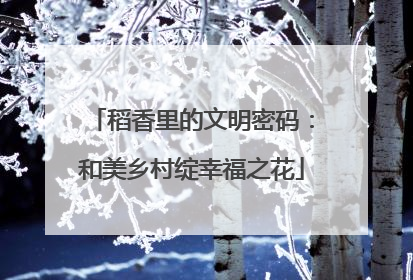 稻香里的文明密码：和美乡村绽幸福之花