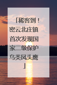 稀客到！密云北庄镇首次发现国家二级保护鸟类凤头鹰