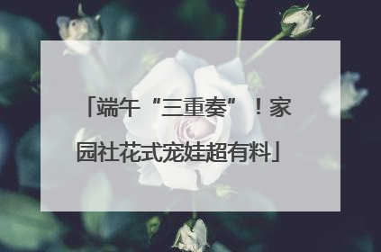 端午“三重奏”！家园社花式宠娃超有料