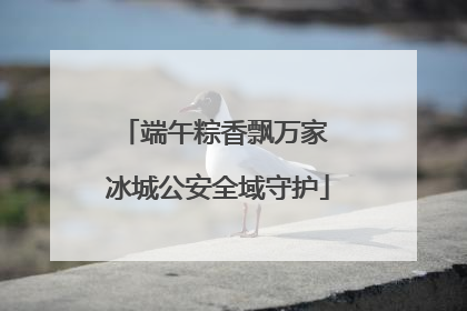 端午粽香飘万家 冰城公安全域守护