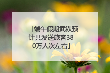 端午假期武铁预计共发送旅客380万人次左右