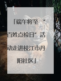 端午将至 “百姓点检日”活动走进枝江市丹阳社区
