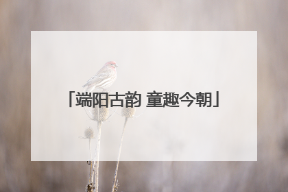 端阳古韵 童趣今朝