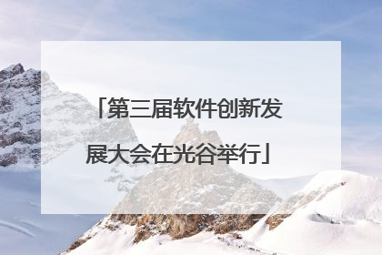 第三届软件创新发展大会在光谷举行