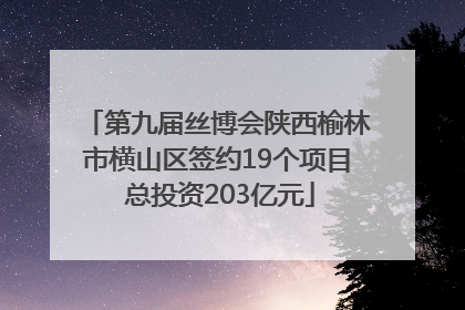 第九届丝博会陕西榆林市横山区签约19个项目 总投资203亿元