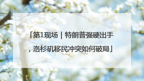 第1现场｜特朗普强硬出手，洛杉矶移民冲突如何破局