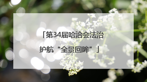 第34届哈洽会法治护航“全景回眸”