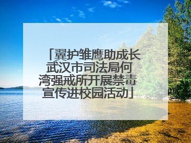 翼护雏鹰助成长 武汉市司法局何湾强戒所开展禁毒宣传进校园活动